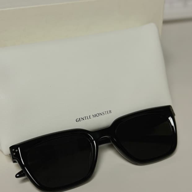 젠틀몬스터 호보 선글라스