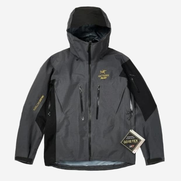 [L] 아크테릭스 팔라스 알파 sv 