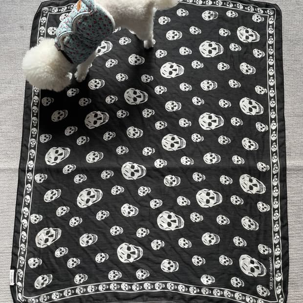 알렉산더 맥퀸 스컬 스카프 