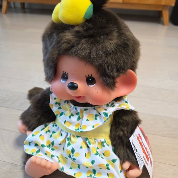 몬치치 레몬  L