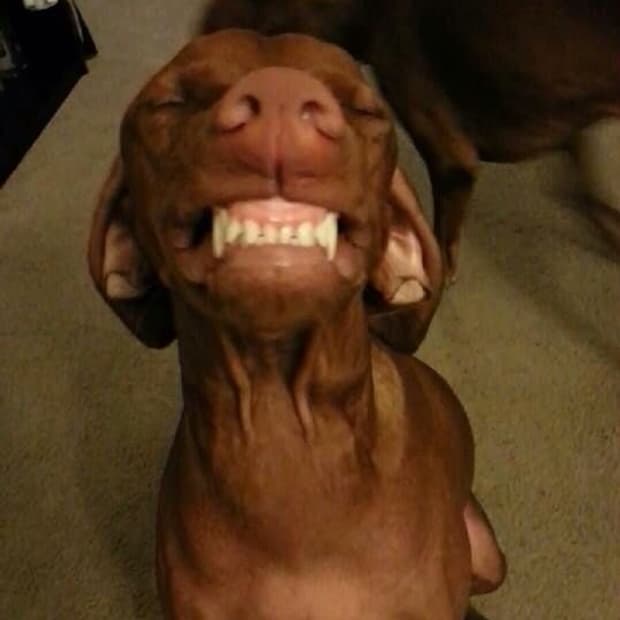 wontak1029님 결제창 