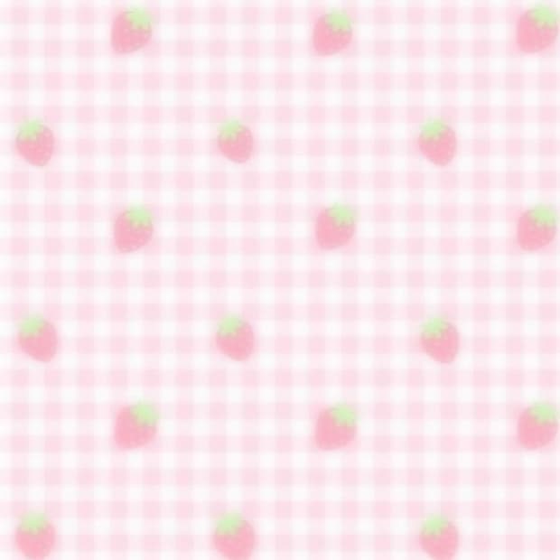 카메라 구매 이벤트😆