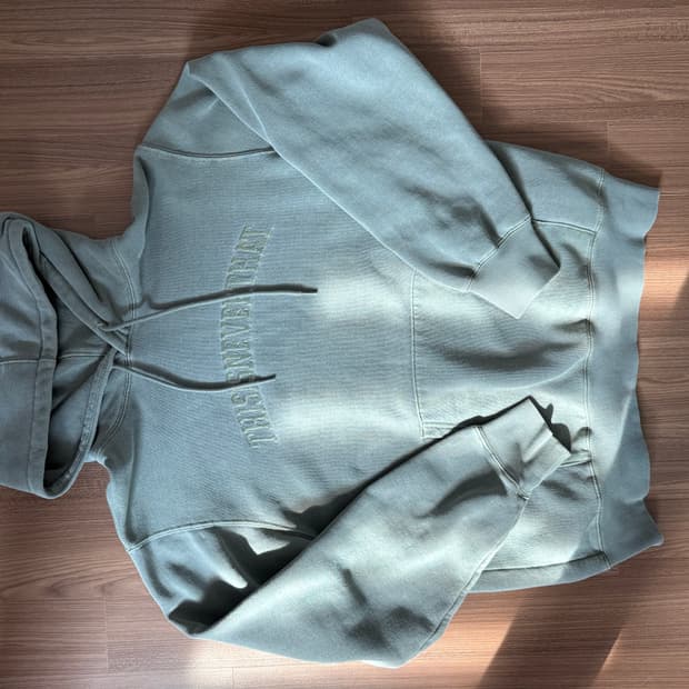 디스이즈네버댓 후드티