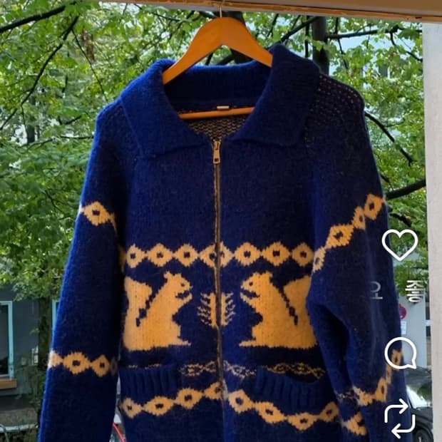 블루 코위챤 판매합니다!