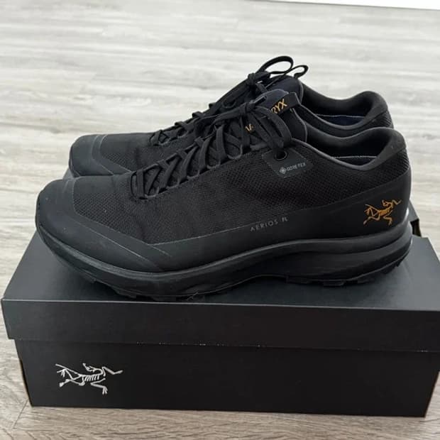  10.5 아크테릭스 에어리어스 FL GTX  남성용 블랙 고어텍스 