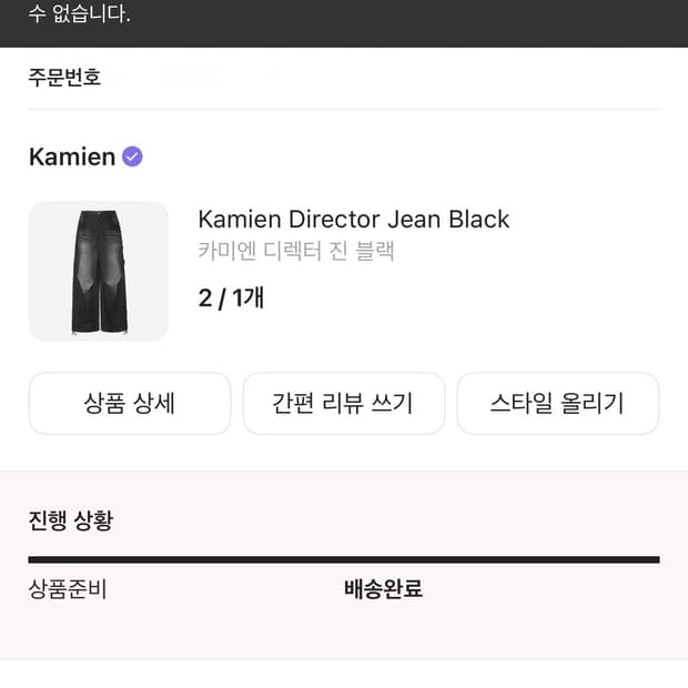 카미엔 디렉터 진