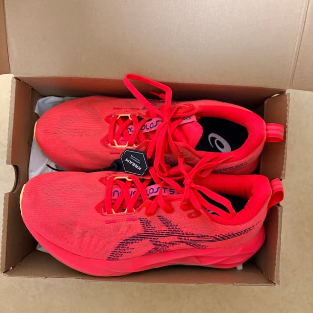 노바블라스트 5 260