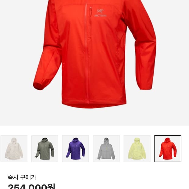아크테릭스 스쿼미시 L