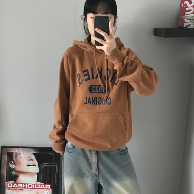 디키즈 중앙 프린팅 브라운 후드티