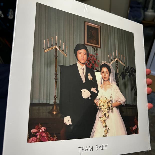 [미개봉] 검정치마 팀베이비 teambaby lp