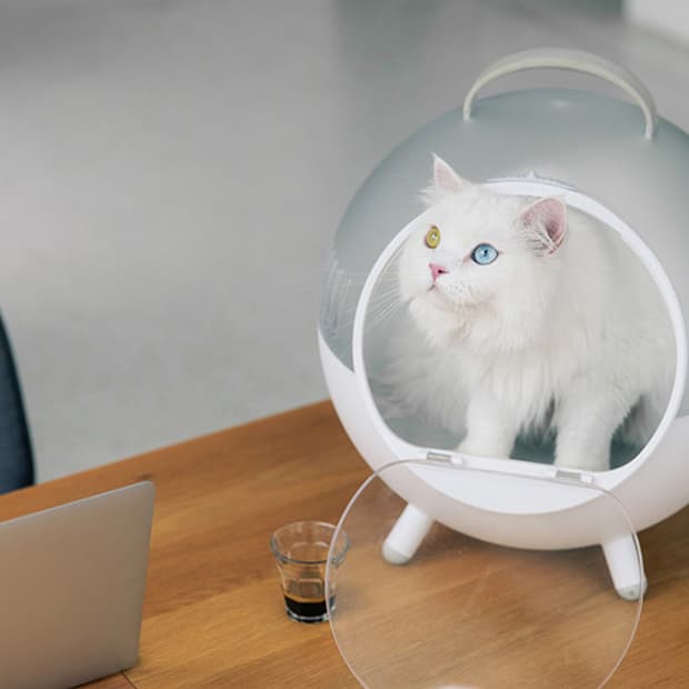 퓨리테일 고양이 이동하우스