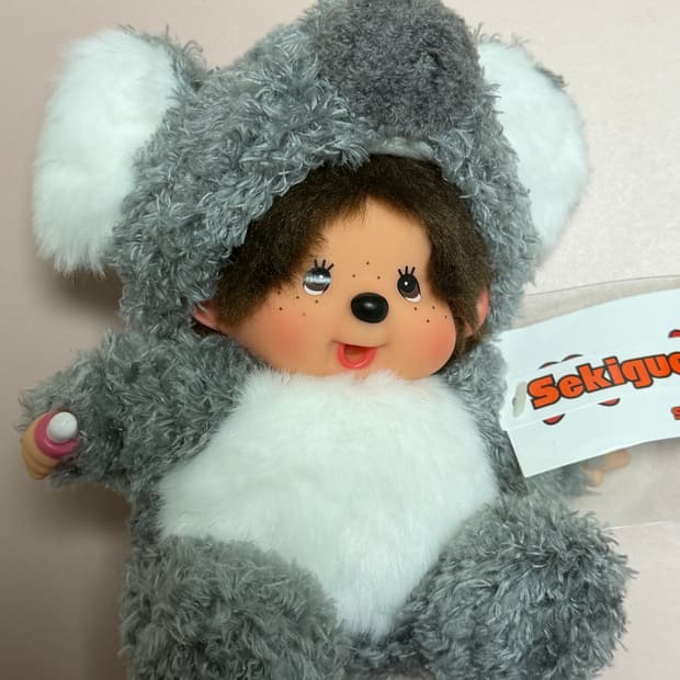 호주 코알라 몬치치🐨