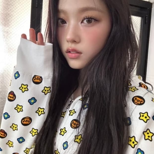 뉴진스 해린 베이프 베이비 마일로 모노그램 후드집업