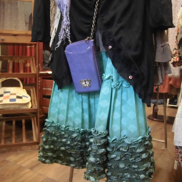 Anna Sui Butterfly Chain Wallet 🦋