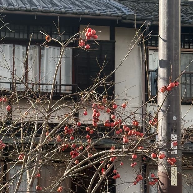 꼼데가르송 자켓 팬츠 팬츠 결제창