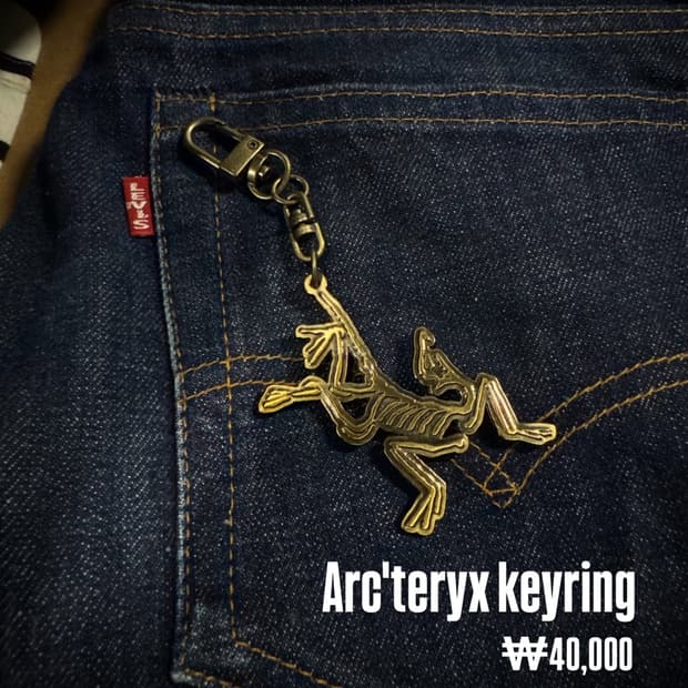 Arcteryx keyring