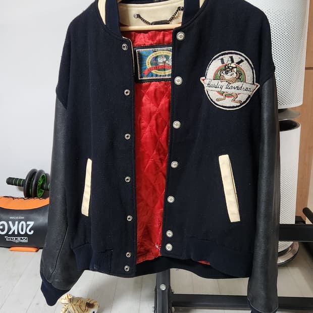 할리데이비슨 루니툰즈 바시티