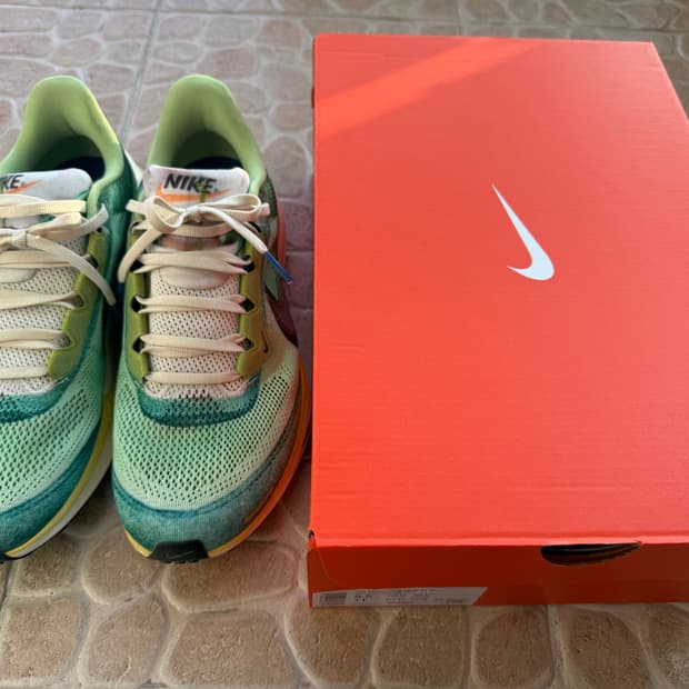 나이키 페가수스41 275사이즈