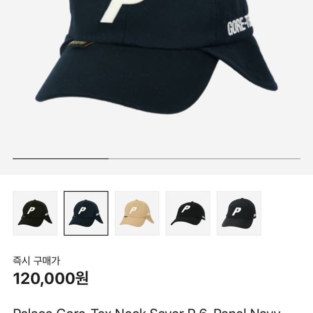 팔라스 고어텍스 넥 세이버 P 6-패널 네이비