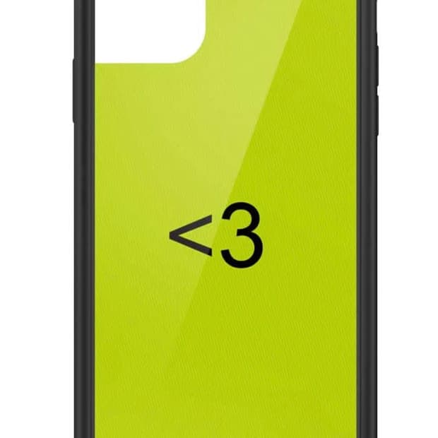 와이드플라워 Charli XCX 14pro 케이스