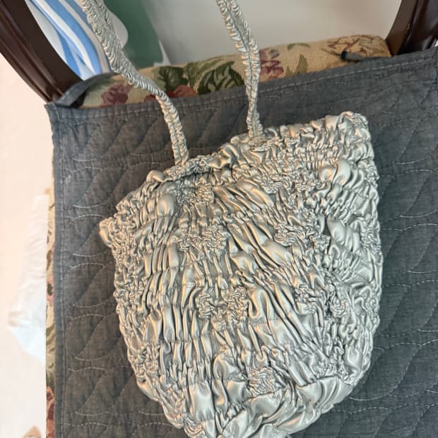 코스모스 펌킨실버백