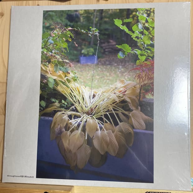 혁오 사랑으로lp 미개봉 새상품