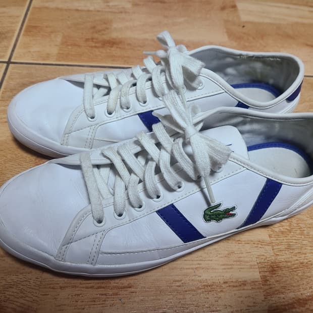 라코스테 사이드라인 270(265추천)