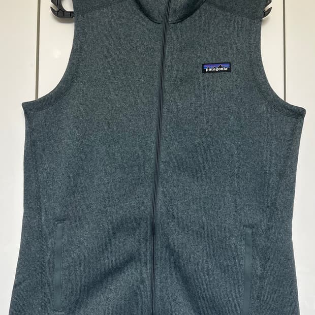 파타고니아 후리스베스트