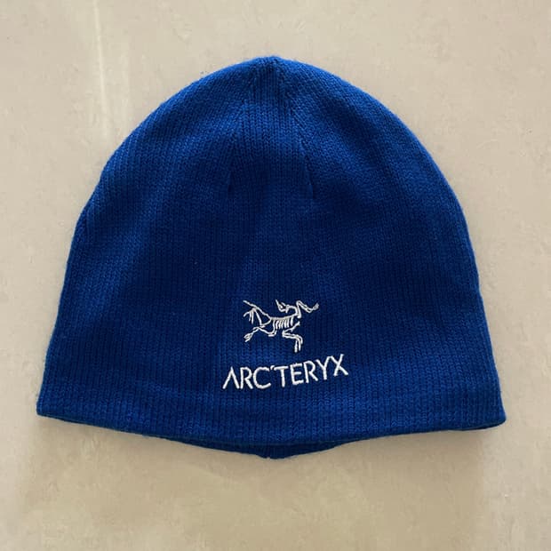 아크테릭스 비니