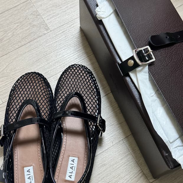알라이아 피시넷 플랫