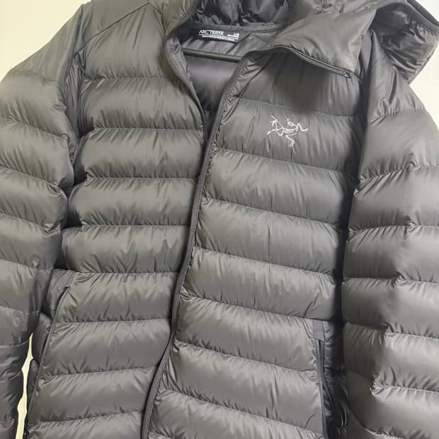 아크테릭스 세륨 후디 L 