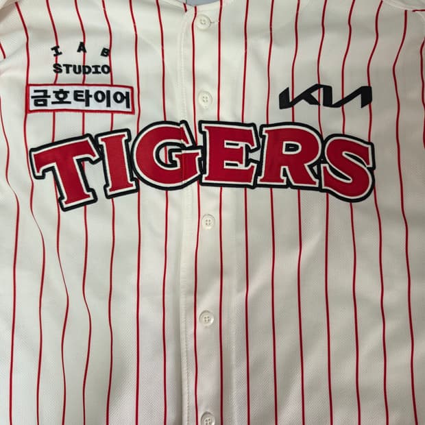 기아타이거즈 25브랜드데이 김호령 110