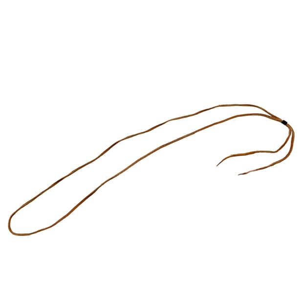 고로스 (Goro’s)