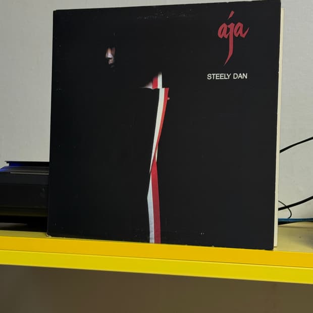 [Rock] Steely Dan (스틸리 댄) LP 판매해요