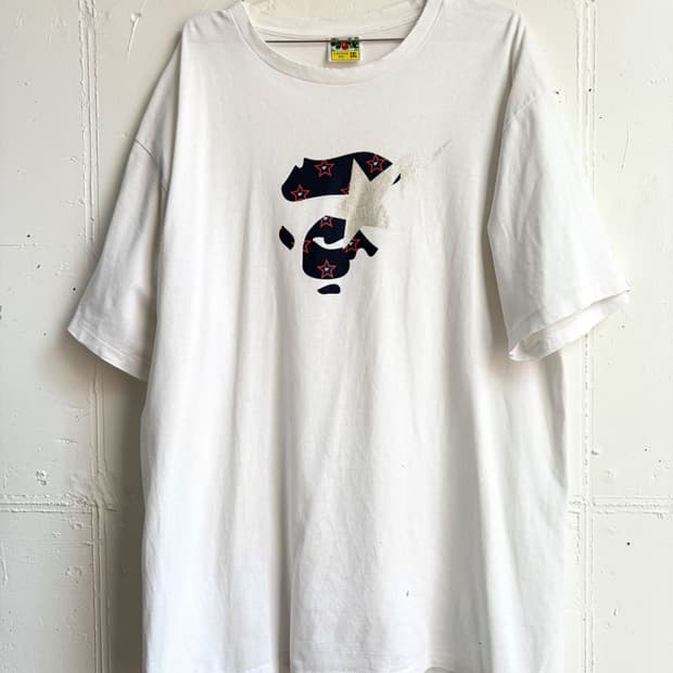 a bathing ape t-shirt