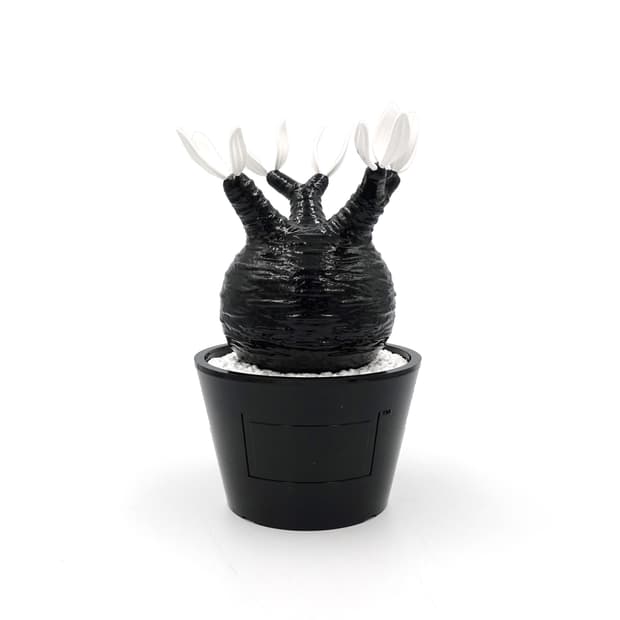 BOTANIZE 보타나이즈 메디콤토이 블랙 화이트 화분 아트토이