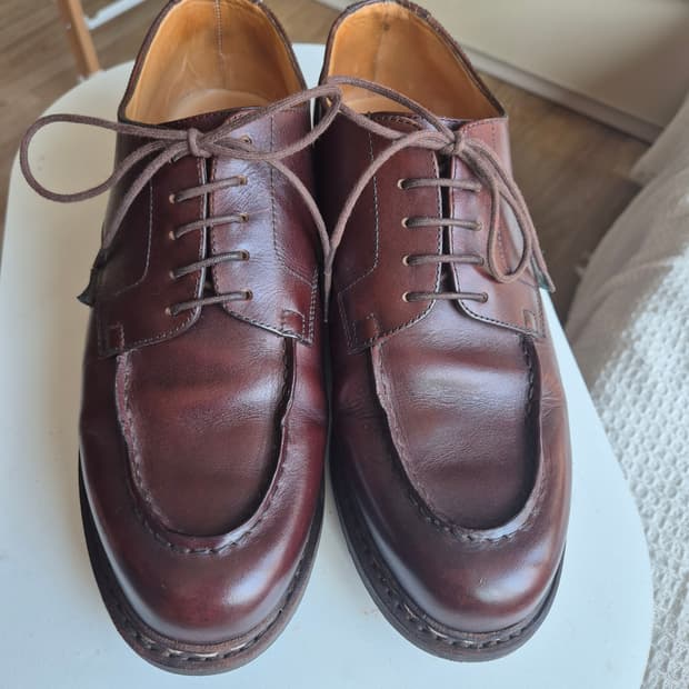 파라부트 샴보드 UK8 카페