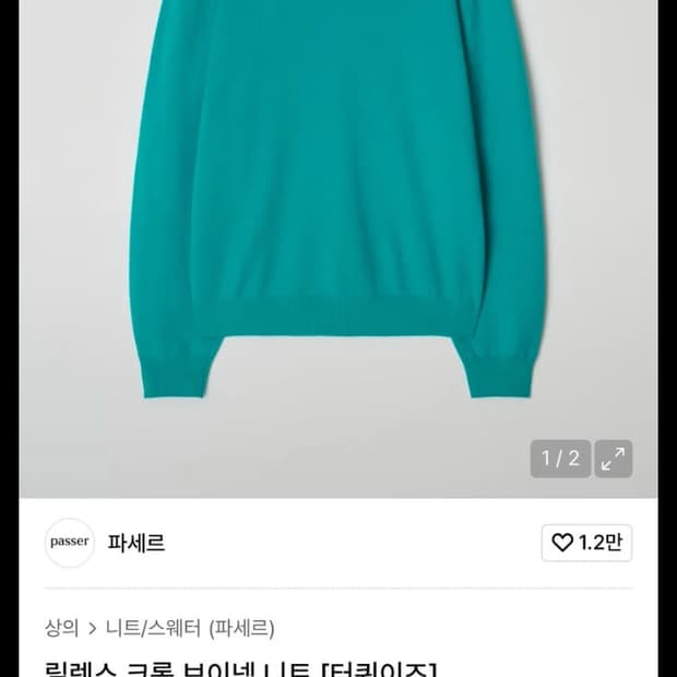 파세르 브이넥 니트 터쿼이즈