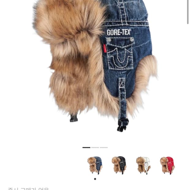 슈프림 트루릴리전 고어텍스 트루퍼햇