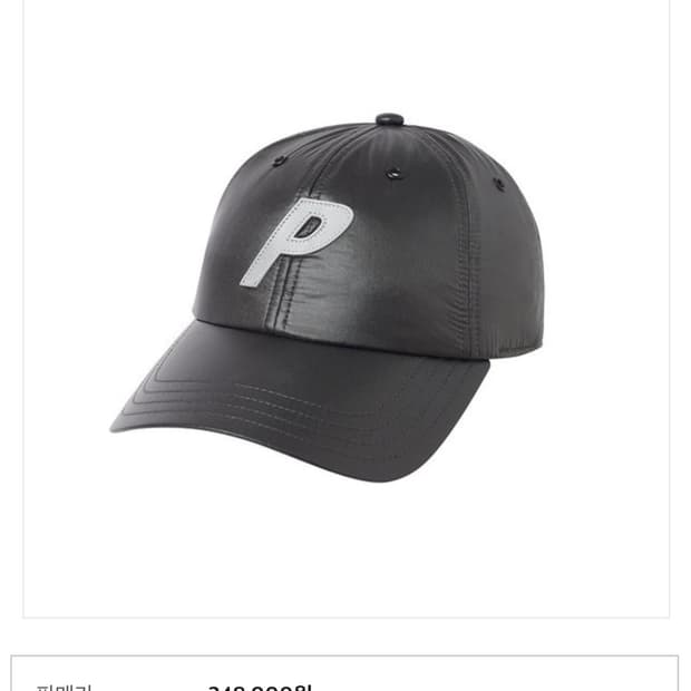 팔라스 퍼텍스 P 6패널 캡 PALACE PERTEX P 6-PANEL 