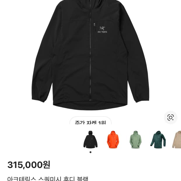 아크테릭스 스쿼미시 바람막이 L사이즈