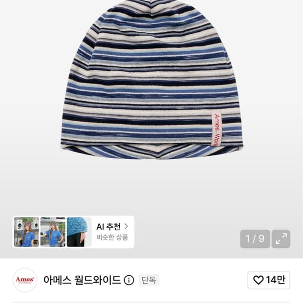 아메스 월드와이드 비니