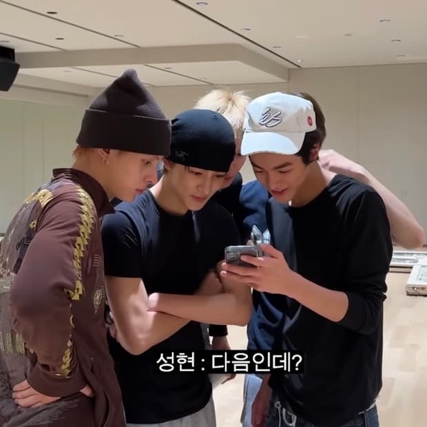 아크테릭스 울 비니 (코르티스)