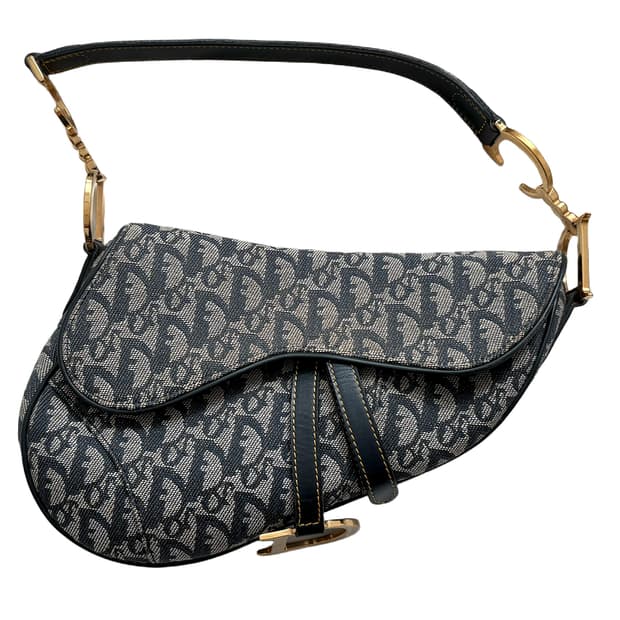 디올 오블리크 새들백