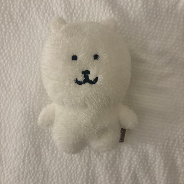 나가노마켓 보슬보슬 농담곰
