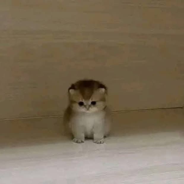 ㄱㅇㄷ님 결제창