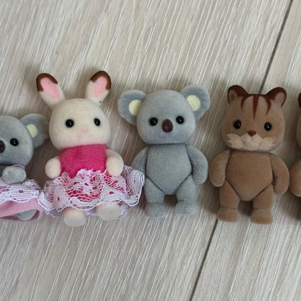 실바니안 5개 일괄