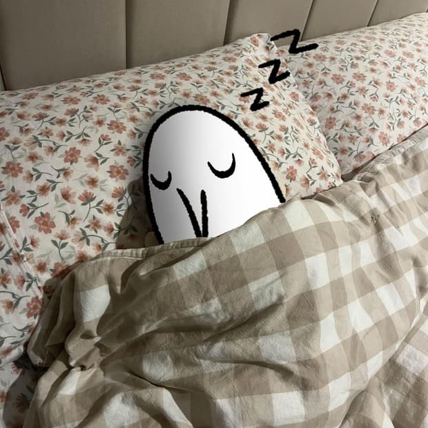 넘버나인 03 가디건 결제창