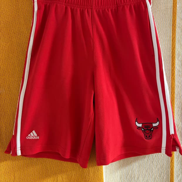 아디다스 시카고 불스 반바지 (M)