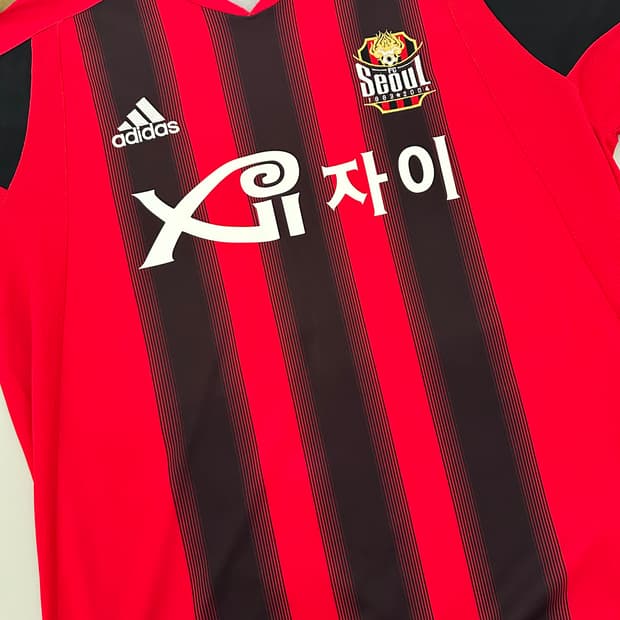 FC서울 05 홈 박주영 105